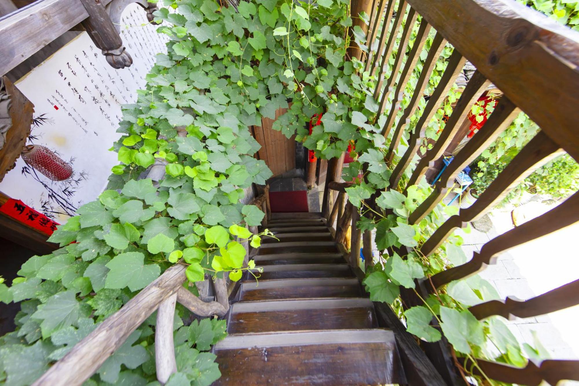 Butterfly Flowers Inn Zhangjiajie Bagian luar foto